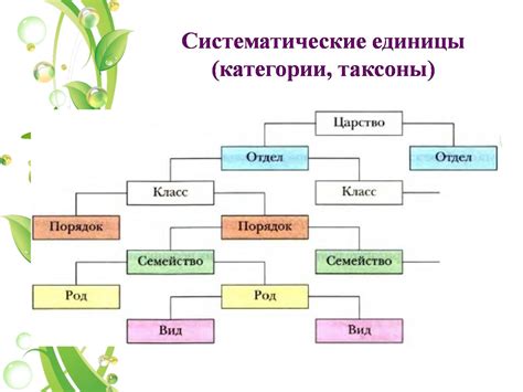 Классификация растений схема полная - красивые картинки и обои на ...