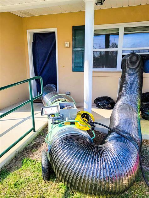 Bed Bugs - BTI Services, Inc.