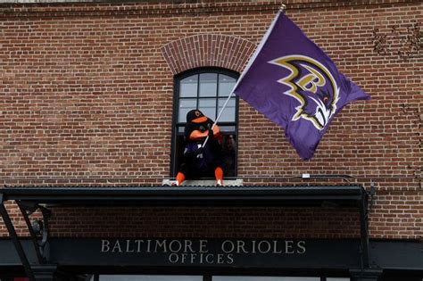 The Baltimore Orioles Bird giving props to the,Ravens at the superbowl ...