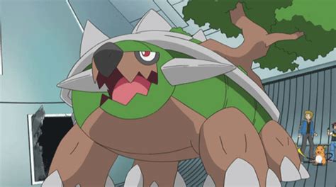 Image - Torterra.png | Animated Wiki | FANDOM powered by Wikia