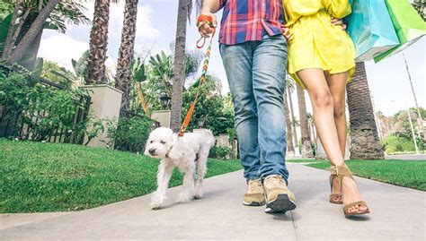 Beverly Hills Ca A Better Cities For Pets™ Certified City