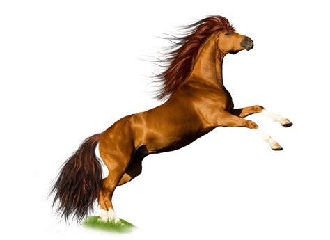 Caballo Saltando Png Transparente Stickpng
