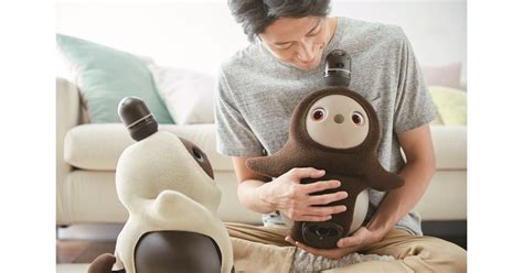 Images of LOVOT - JapaneseClass.jp