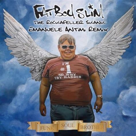 Fatboy Slim – The Greatest Hits (Why Try Harder) - LP Freak
