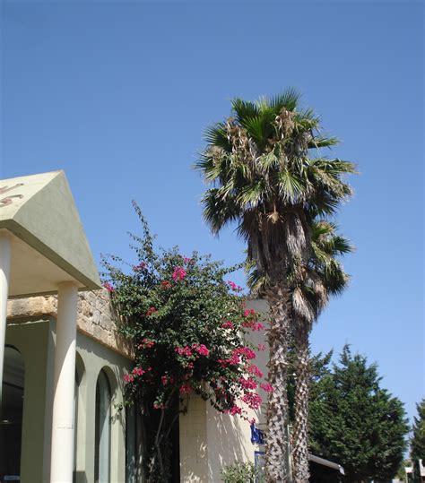 The island tour, Malta | Flying Fashionista