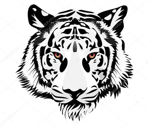 Tigre Blanco Realista Stock Vector By Tratatushki