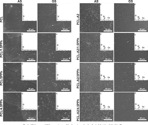 Figure From Pcl And Pcl Bioactive Glass Biomaterials As Carriers For