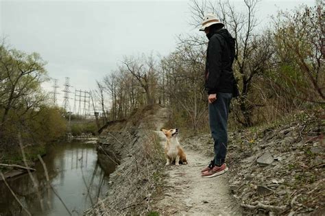 Etobicoke Valley Dog Park Review An Off Leash Trail Oasis Syde Road