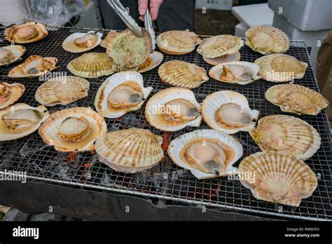 Close Up Shot Of Grill Scallop With Shell At Hokkaido Japan Stock