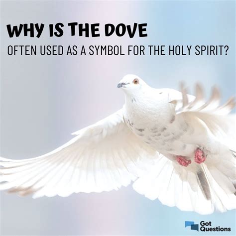 Why is the dove often used as a symbol for the Holy Spirit ...