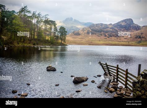 Now A Site Of Special Scientific Interest It Contains Brown Trout