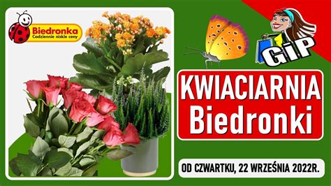 BIEDRONKA Oferta Od Czwartku 22 09 2022 Kwiaciarnia Biedronki