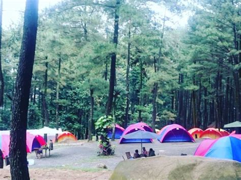 15 Tempat Camping Di Bogor Yang Seru Abis Blog Ruparupa