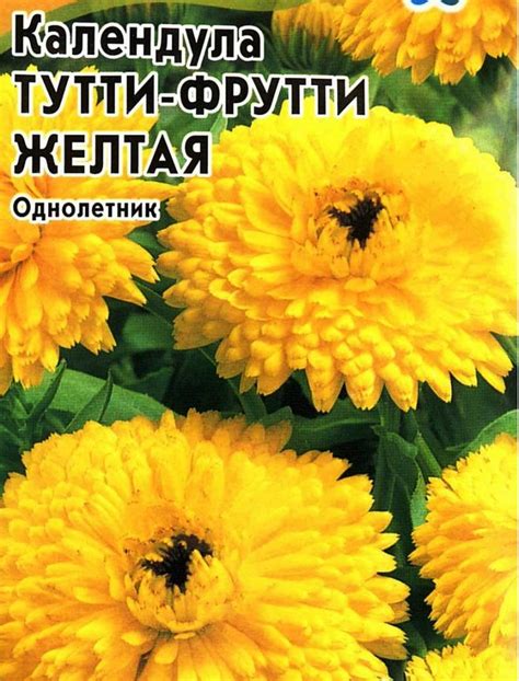 Семена календулы (ноготков) купить в интернет-магазине с доставкой по РФ
