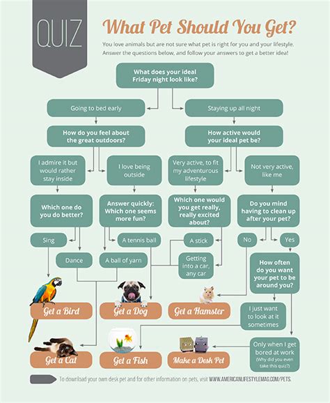 pet    quiz american lifestyle magazine