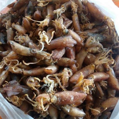 Sotong Kering Sabah Shopee Malaysia