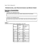 K Marquette Lab 8 Fermentation Pdf NAME KAITLYN MARQUETTE