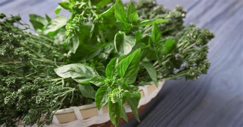 Ароматные и полезные приправы: 10 трав, которые стоит включить в свой ...