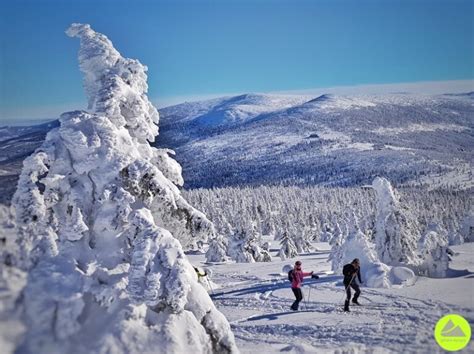 Zimowa Trasa Na Skalny St W Karkonoszach W Dr Wka Z Karpacza Przez