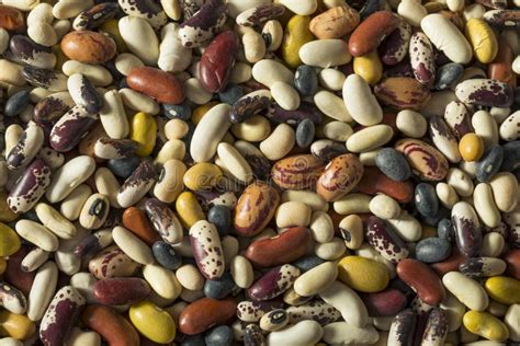 Heap Of Assorted Mixed Organic Dry Beans Stock Image Image Of Lentil