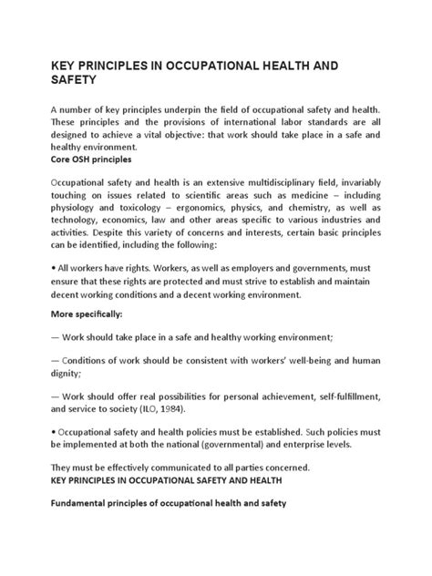 Key Principles in Occupational Health and Safety | PDF | Occupational ...