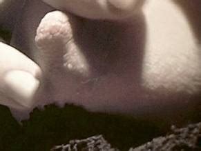 The Center Of The World Nude Scenes Aznude