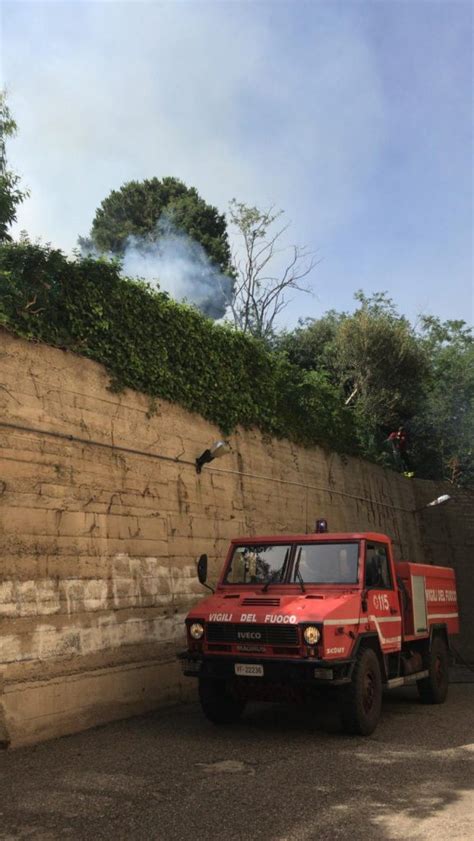 Vasto Incendio A Messina In Fiamme Le Colline Della Citt Foto