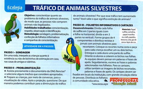 Tráfico De Animais Silvestres No Brasil Redação - Tráfico De Animais Silvestres No Brasil Redação - NAZAEDU