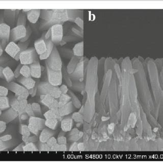 Sem Images Of Rutile Tio Nanorod Array Film Grown On Fto Substrate A