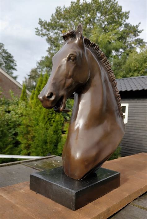 Sculpture, horsehead - 33 cm - Bronze (patinated) - Catawiki