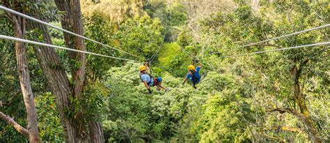Big Island Zipline & Canopy Tours | Kohala Zipline