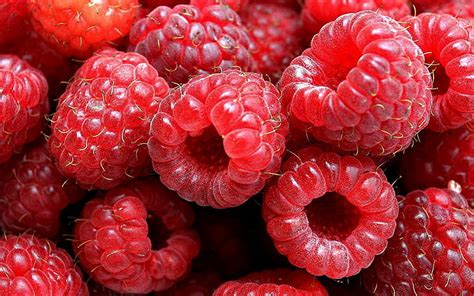 Hd Wallpaper Raspberry Wallpaper Flare