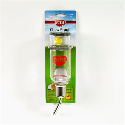 best hamster smelly at home 6