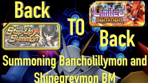 Digimon Rearise Back To Back Banner Bancholillymon And Shinegreymon