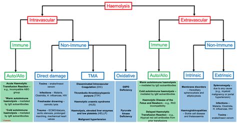 Causes Of Hemolytic Anemia Non Immune Hemolysis Diagnostic