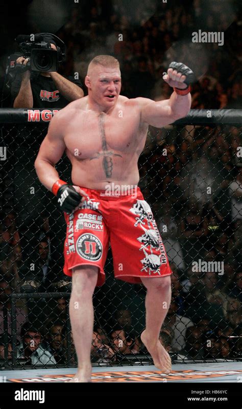 Ufc Brock Lesnar