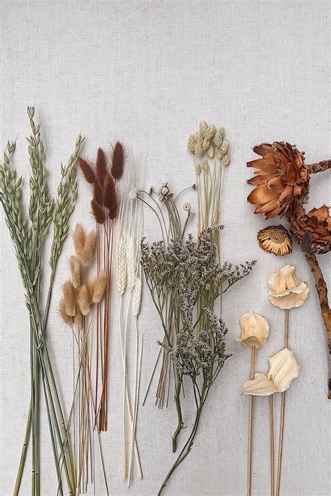 DIY Dried Flower Bouquet – Honestly WTF