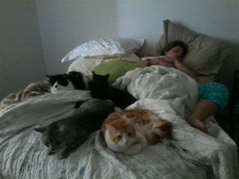 Cat Naps And Doggie Snorts Cat Nap Cat People Cats