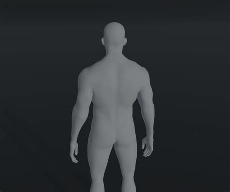 3D Model Male Body Base Mesh Animated And Rigged 3D Model 10k Polygons