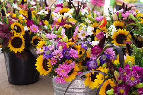 Fourways Flower Market Johannesburg Best Flower Site