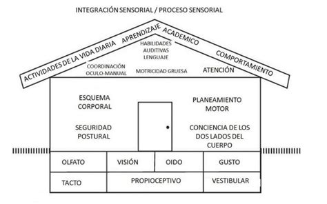 Total 64 Imagen Modelo De Integracion Sensorial Abzlocalmx