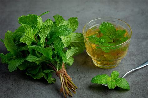 Chá Caseiro Para Desinflamar O Corpo - CHÁ PARA DESINFLAMAR O CORPO: 7 chás NATURAIS que combatem INFLAMAÇÃO