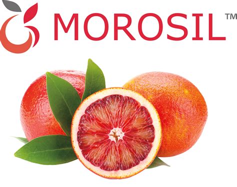 Morosil | Amvigor Organics Pvt Ltd | Ingredients Network