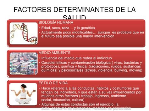 Factores Ambientales Determinantes De La Salud