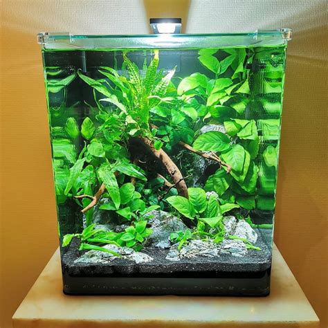 √ Best Nano Aquascape Plants Aquascape Style