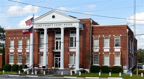 Long County Public Records Search