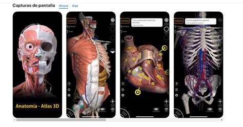 Anatomia Atlas 3d