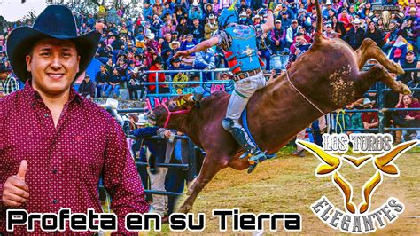 Profeta En Su Tierra Segundo Aniversario De Los Toros Elegantes San