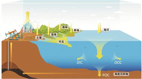 “碳中和”目标背景下我国海洋碳汇与碳年龄的思考