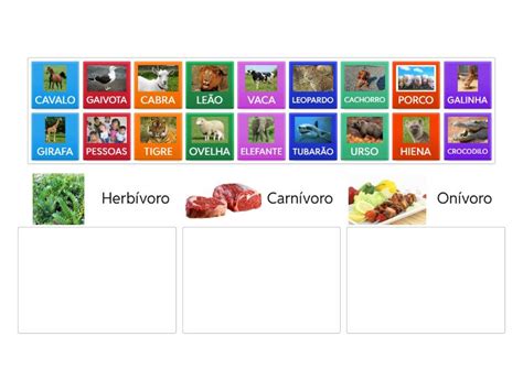 Girafa E Herbivoro Carnivoro Onivoro - Herbívoro, carnívoro ou onívoro - Group sort